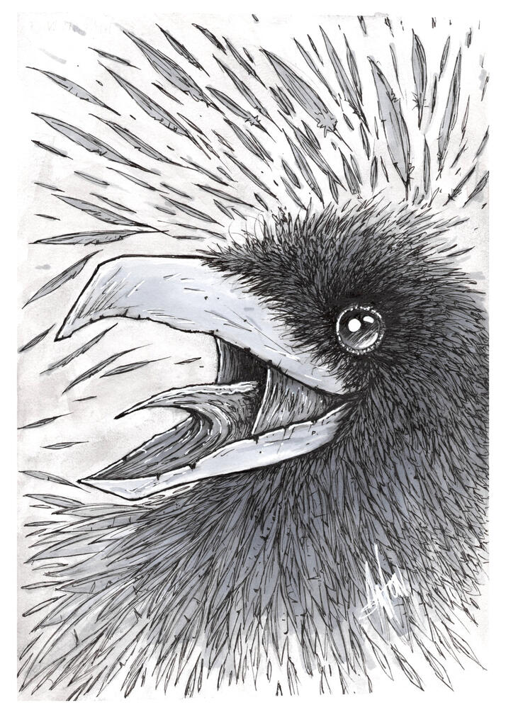 The Mad Raven