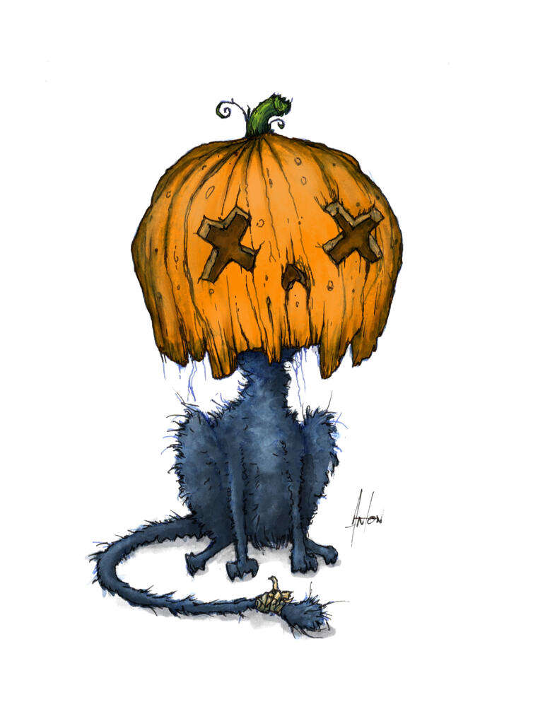 Pumpkin Cat Pumpkin Cat
